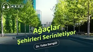 Ağaçlar Şehirlerin Sıcaklığını Nasıl Etkiler?