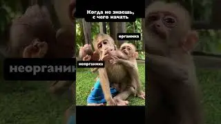 С чего начать #егэ #егэхимия #11класс