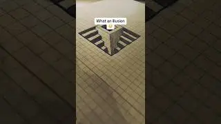 What an ILLUSION 
