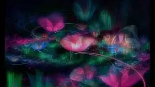 Butterfly - Kevin Kern