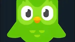 Duolingo Takes  Over The Pc (Found Footage)