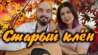 Старый клён - Песня из кинофильма «Девчата»