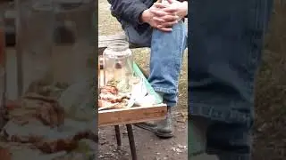 А я Аленка!!!