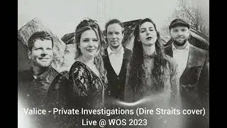 Valice - Private Investigations (Dire Straits cover)