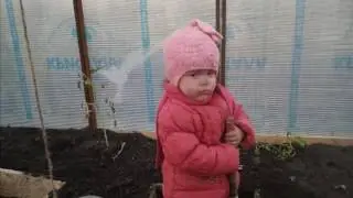 Защита от кротов простой и надежный способ!