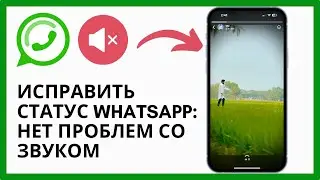 Как исправить проблему со звуком статуса WhatsApp 2024 | Проблема со звуком статуса WhatsApp