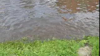 Чуть не получил гидроудар говном...