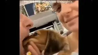 5 minutes of offensive memes