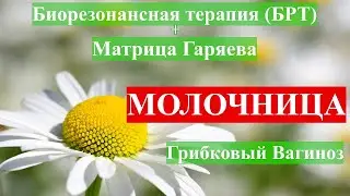 Молочница🌞БРТ Биорезонанс + Матрица Гаряева 💠Thrush🌞BRT Bioresonance + Matrix Garyaev