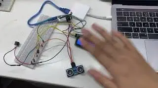 Arduino Nano project--Radar