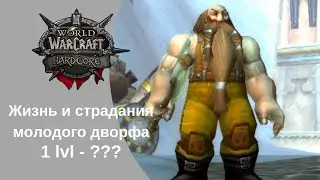 Жизнь и страдания | WoW Classic HardCore (TurtleWoW)