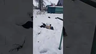 24 марта 2024 г.