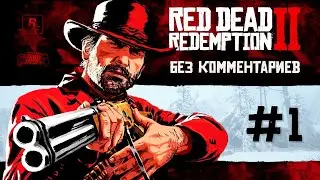 Red Dead Redemption 2 - прохождение без комментариев #1