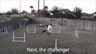 Agility Challenge