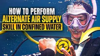 Scuba Diving: How to Perform Alternate Air Supply Skill in Confined Water (Black Turtle Dive)