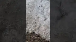 Нашел кучу кристаллов ;) 
