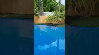зделал своими руками
