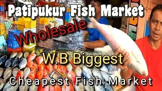 Patipukur Fish Market | Early Morning Ami ar Maa | এত মাছ ভাবার বাইরে ভাই ভাবার বাইরে ..😱