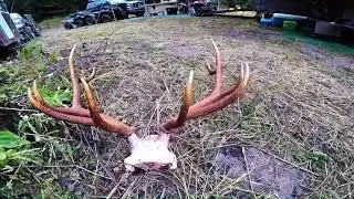 Idaho Elk Camp 2017