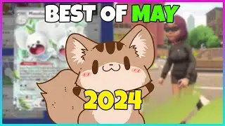 Best of May 2024 | squiresoup