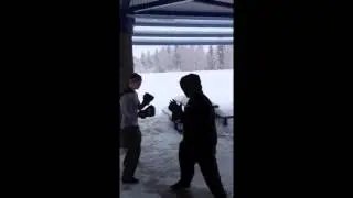 Shenanigans v Assassins Creed