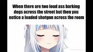 When there are loud barking dogs across the street but you notice a loaded shotgun across the room