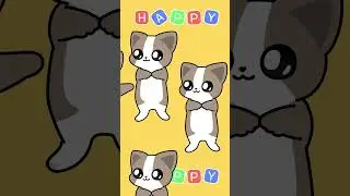 Happy cat going crazy🔥(flash warning)