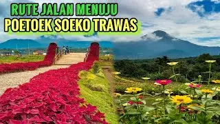 RUTE JALAN MENUJU POETOEK SOEKO TRAWAS // WISATA TRAWAS MOJOKERTO