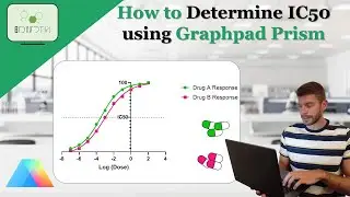 How to easily calculate the IC50 of a drug using Graphpad Prism 