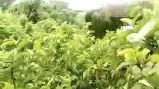 Новый боевик из Уганды