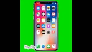iPhone Green Screen 