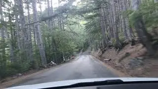 Серпантин на Ай Петри