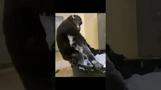 интересные факты