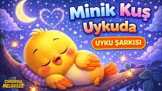 Minik Kuş Uykuda 🌙 | Uyku Öncesi Ninni | Bebek & Çocuk Şarkıları