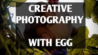 CREATIVE PHOTOGRAPHY WITH EGG  