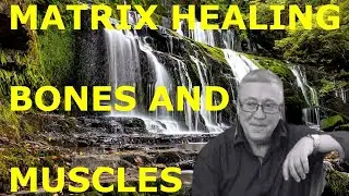 Bone and Muscle Healing Matrix