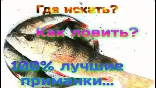 ОКУНЬ ЛЕТОМ НА МИКРУХУ...КАК ЛОВИТЬ ,,ГДЕ ИСКАТЬ,,100% РЕЗУЛЬТАТ!!!