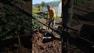 Past za bramorje na vrtu