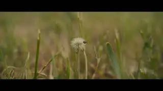 BMPCC 4K 75fps ISO 3200 Cinematic Slow Mo Test