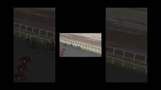 Валахия выиграла скачку #лошади #ипподром #скачки #horse #победитель
