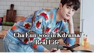 Cha Eun-woo in Kdrama/Real Life | True Beauty | Wonderful World | A Goof Day to be a Dog | Kpop Idol