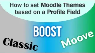 How to set a Theme based on a Profile Field on Moodle