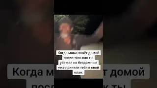 карате пацан