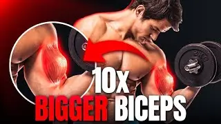 Bigger Biceps DON'T SKIP THESE Best Exercises