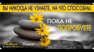 Дмитрий Нагиев о интернет бизнесе
