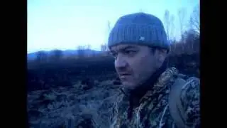 В лесу 2