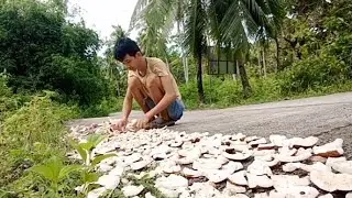 LIVE : DRYING COCONUTS | DAY 1 | RAW UNCUT VIDEO | Rey Naldz