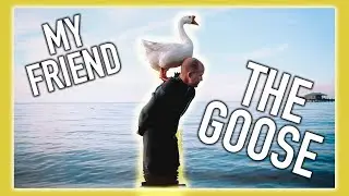 This art teacher has a special bond with a goose
