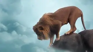LION - PHOTOSHOP MANIPULATION TUTORIAL