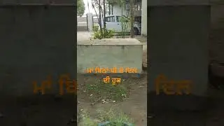 ਮਾਵਾਂ ਬਾਜੋ ਕੌਣ ਭੇਜੇ ਸੂਹੇ#shorts#youtubeshorts#lokgeetshorts